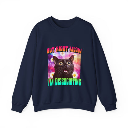 Cat Not Right Meow Sweatshirt