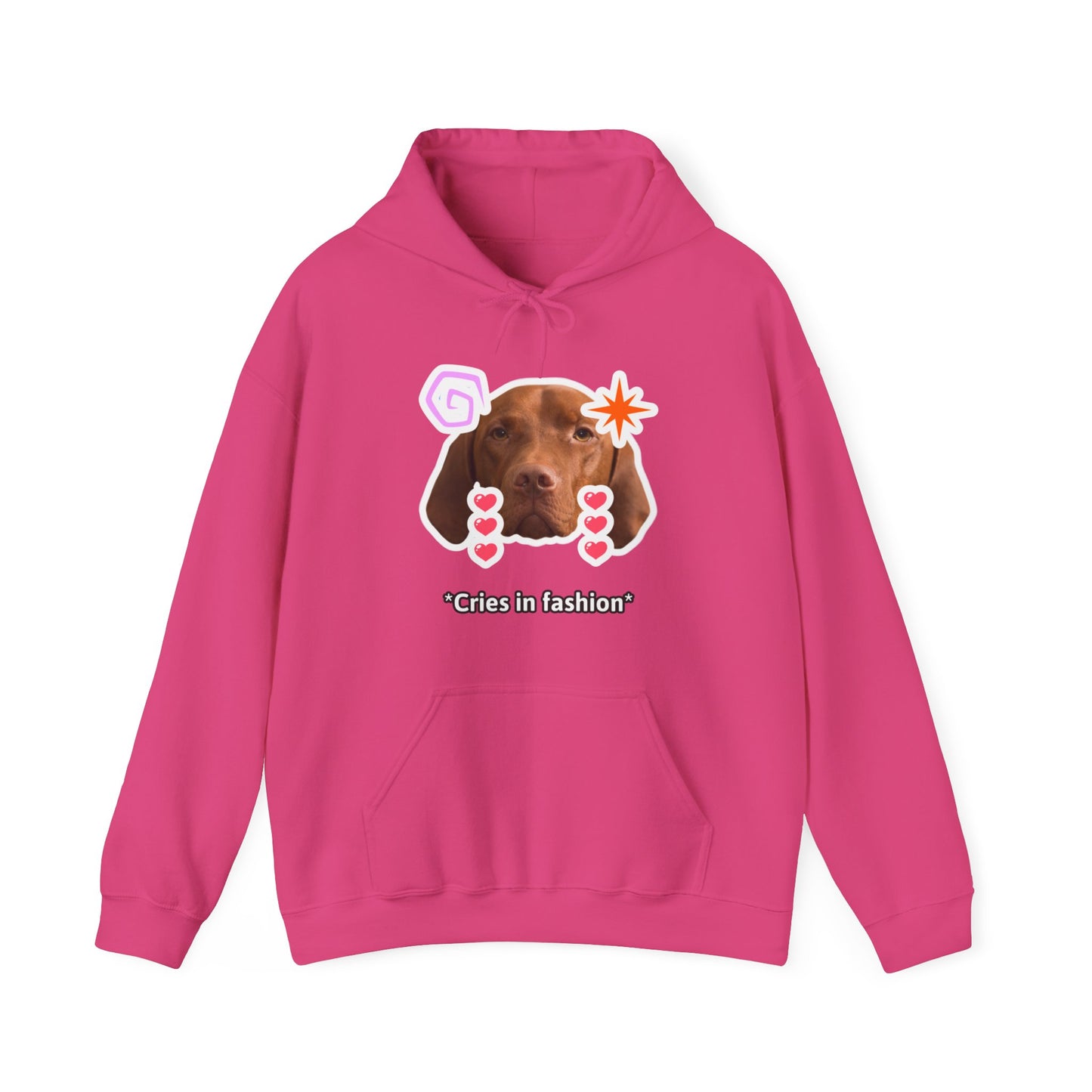 Dog Cries In Fashion Hoodie