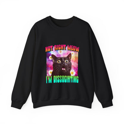 Cat Not Right Meow Sweatshirt