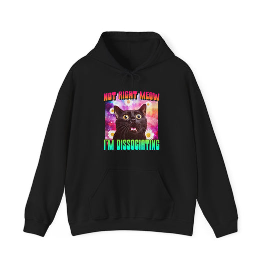 Cat Not Right Meow Hoodie